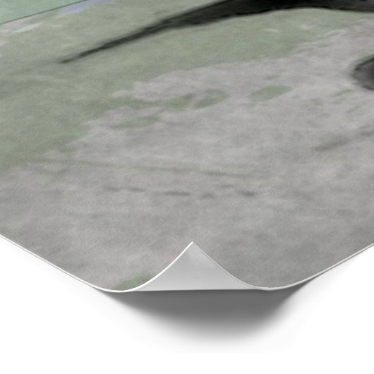 s13 ポスター (角)