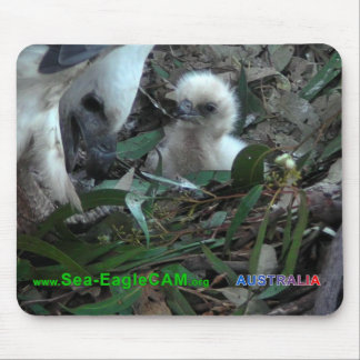 S2マウスパッドのパパ横の5 マウスパッド