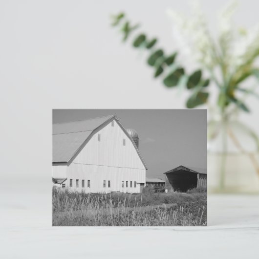 s3 ポストカード (スタンド正面)