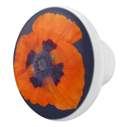 S セラミックノブ (右)