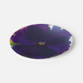 S ペーパープレート (アングル)