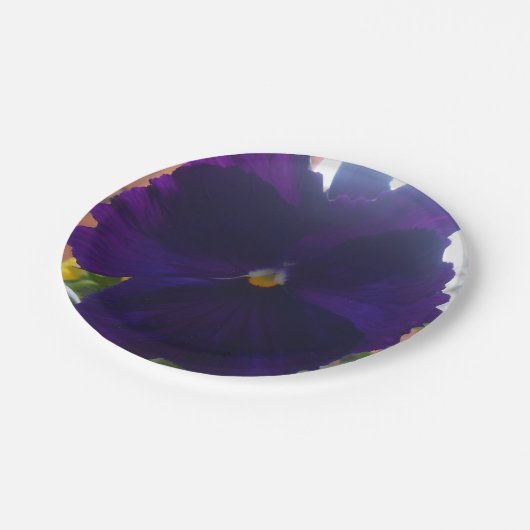 S ペーパープレート (アングル)