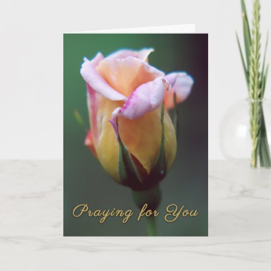 's 祈 for  Youグリーティングカード カード (正面)