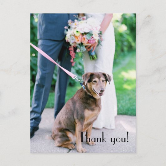 S 結婚 Thank You Post Card ポストカード (正面)