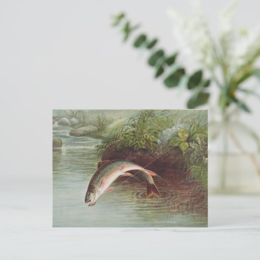 S.A.キルボーンヴィンテージ魚によるイナゴの跳躍 ポストカード (スタンド正面)