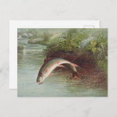 S.A.キルボーンヴィンテージ魚によるイナゴの跳躍 ポストカード (正面/裏面)