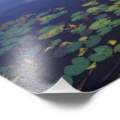 S.A.，ブラジル，パンタナルの水路 フォトプリント            (角)