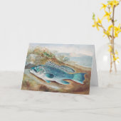 S.A. Kilbourneによるヴィンテージの魚のイラスト「シーバス」 カード (黄色い花)