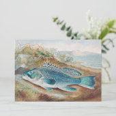S.A. Kilbourneによるヴィンテージの魚のイラスト「Sea Bass」 招待状 (スタンド正面)