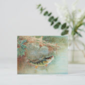 S.A. Kilbourneによるヴィンテージの魚の絵画「アメリカナマズ」 ポストカード (スタンド正面)