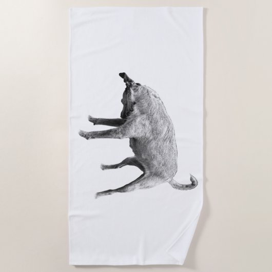 S-Curve Terrier Profile ビーチタオル (正面)