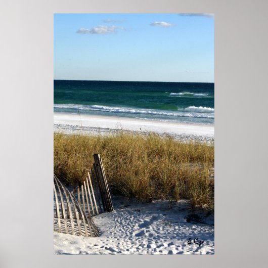 S CyrのDestin Dreamingポスター ポスター (正面)