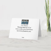 S Cyr、夏の準備完了 カード (裏面)