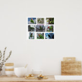 S.F.ポスターの野生のオウム ポスター (キッチン)