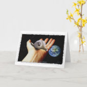 S.O.S. 私達のタテゴトアザラシの挨拶状を救って下さい カード (黄色い花)