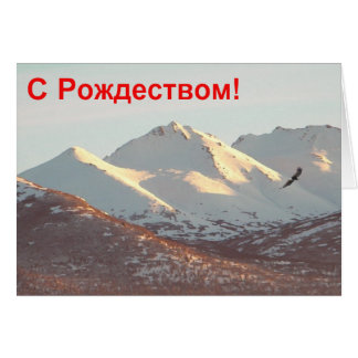 S Rozhdestvom – ウィンターイーグル