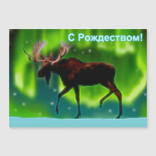 S Rozhdestvom – ノーザンライトムース