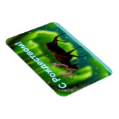 S Rozhdestvom – ノーザンライトムース マグネット (右側)