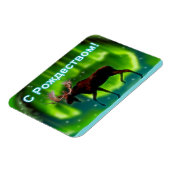 S Rozhdestvom – ノーザンライトムース マグネット (左側)