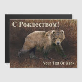 S Rozhdestvom - Kodiak Bear On Caribou Fur (正面/裏面)