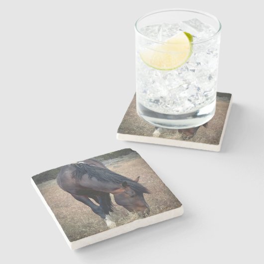 S Steens Coaster ストーンコースター (横)