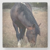 S Steens Coaster ストーンコースター (正面)