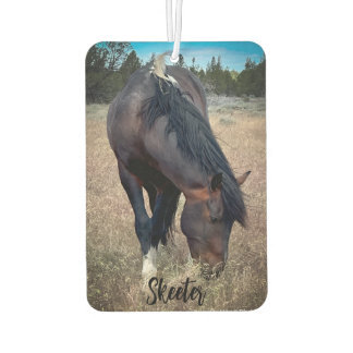 S Steens Stallions エアフレッシュナー カーエアーフレッシュナー