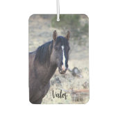 S Steens Stallions Air Freshener カーエアーフレッシュナー (正面)