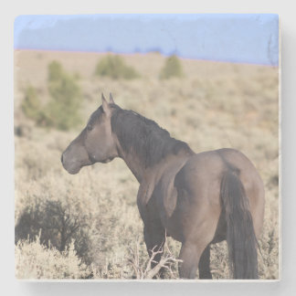 S Steens Stone Coaster ストーンコースター