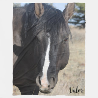 S Steens Valor  フリースブランケット