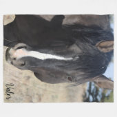 S Steens Valor  フリースブランケット (正面(横))