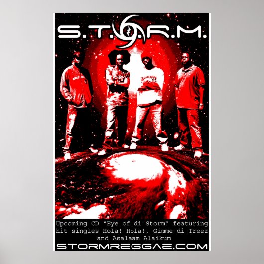 S.T.O.R.M.ポスター ポスター (正面)
