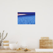 SA、チリ、コキンボ地域、ニーバ・ペンティント； ポスター (キッチン)