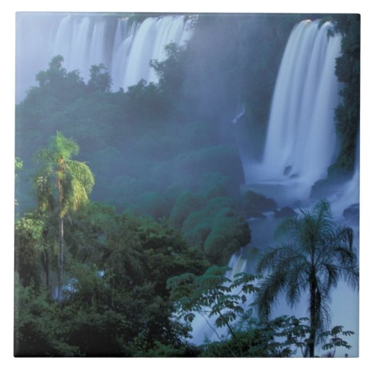 SA、ブラジル、パラナ州;イグアクNP、イグアク タイル (正面)