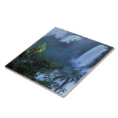 SA、ブラジル、パラナ州;イグアクNP、イグアク タイル (側面)