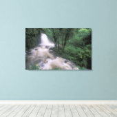 SA、ペルー、S.H.マチュピチュ、カスケードとクラウド キャンバスプリント (インサイチュ (ウッドフロア))