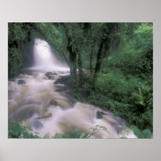 SA、ペルー、S.H.マチュピチュ、カスケードとクラウド ポスター (正面)