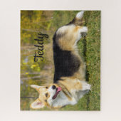Sable Cardigan Welsh Corgi Dog ジグソーパズル (縦)