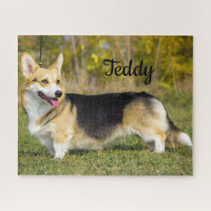 Sable Cardigan Welsh Corgi Dog ジグソーパズル