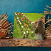 Sable Collie N Tulipsフォトプラーク フォトプラーク (側面)