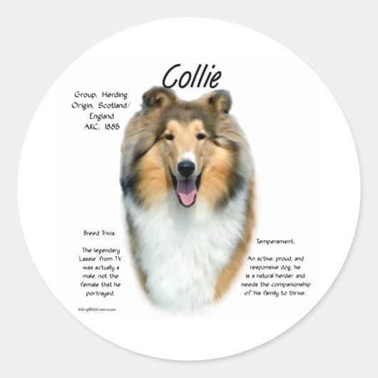 Sable Rough Collie Meet the Breed – ステッカー (正面)