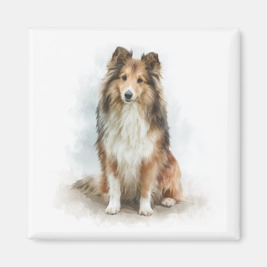 Sable Shetland Sheepdog Watercolor Art マグネット (正面)