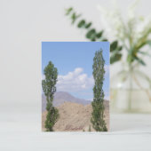 Saboo Ayu。 Ladakh、インド ポストカード (スタンド正面)