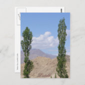 Saboo Ayu。 Ladakh、インド ポストカード (正面/裏面)