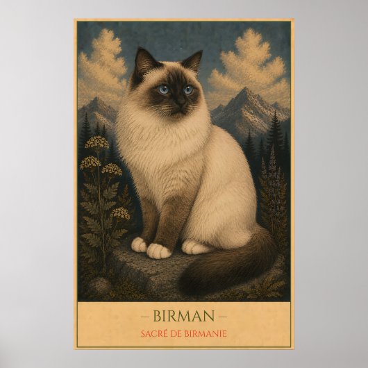 Sacred Grace: Birman Cat ポスター (正面)