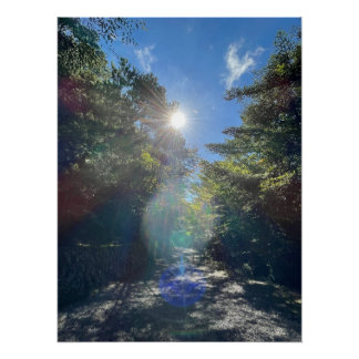 Sacred Light on a Forest Path in Japan ポスター