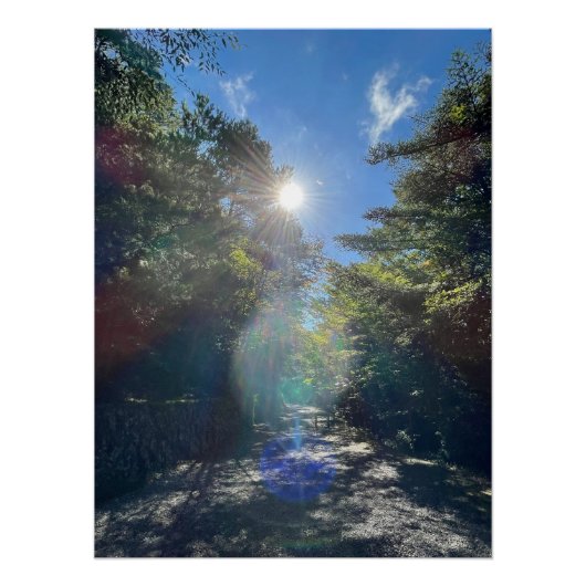 Sacred Light on a Forest Path in Japan ポスター (正面)