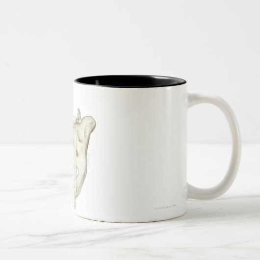 Sacrum ツートーンマグカップ (右)