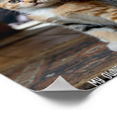 Sad and Lonely Pets Poster Print: My Owner ポスター (角)