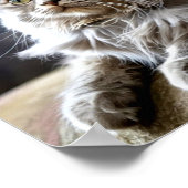 Sad and Lonely Pets Poster Print: One Day ポスター (角)